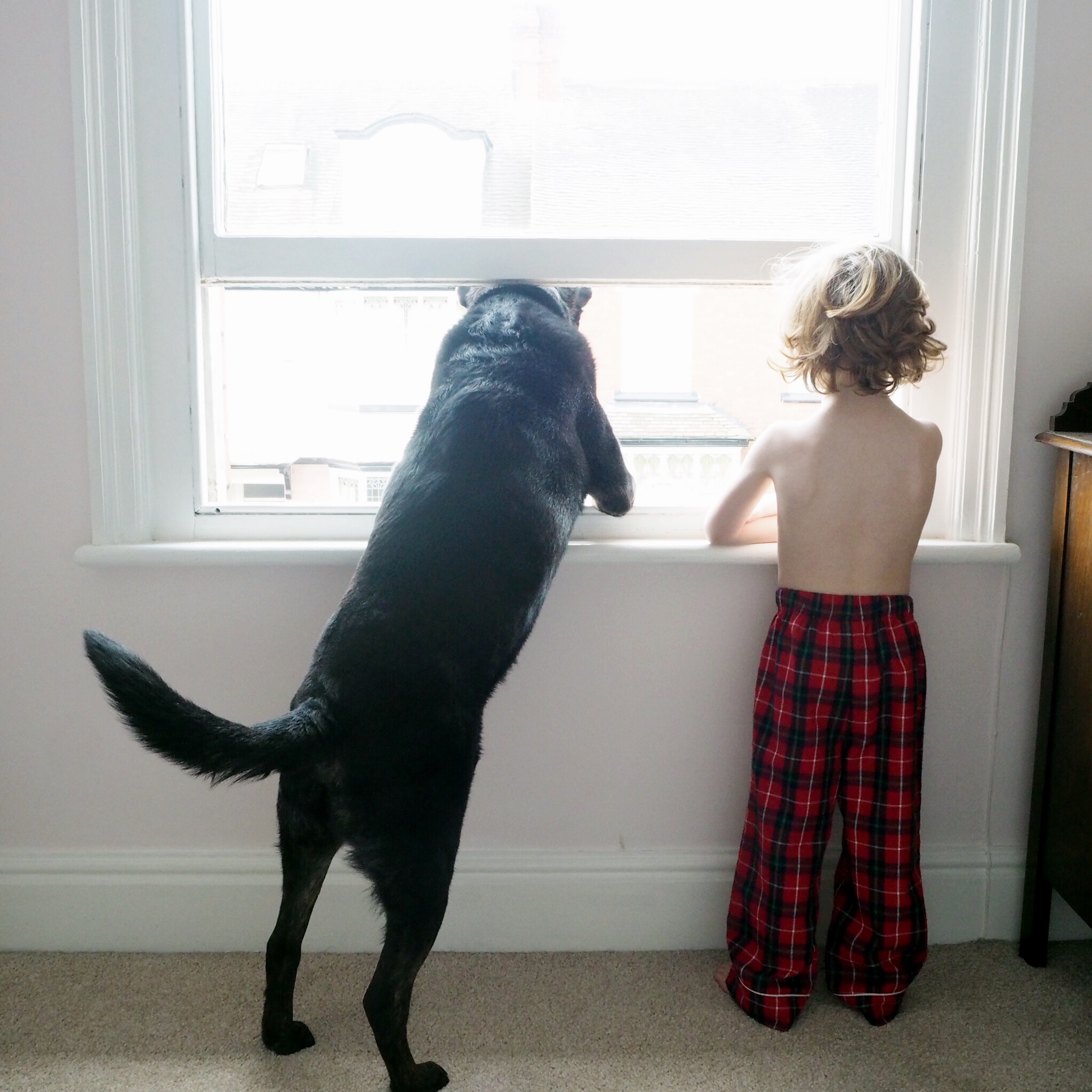 life as our little family