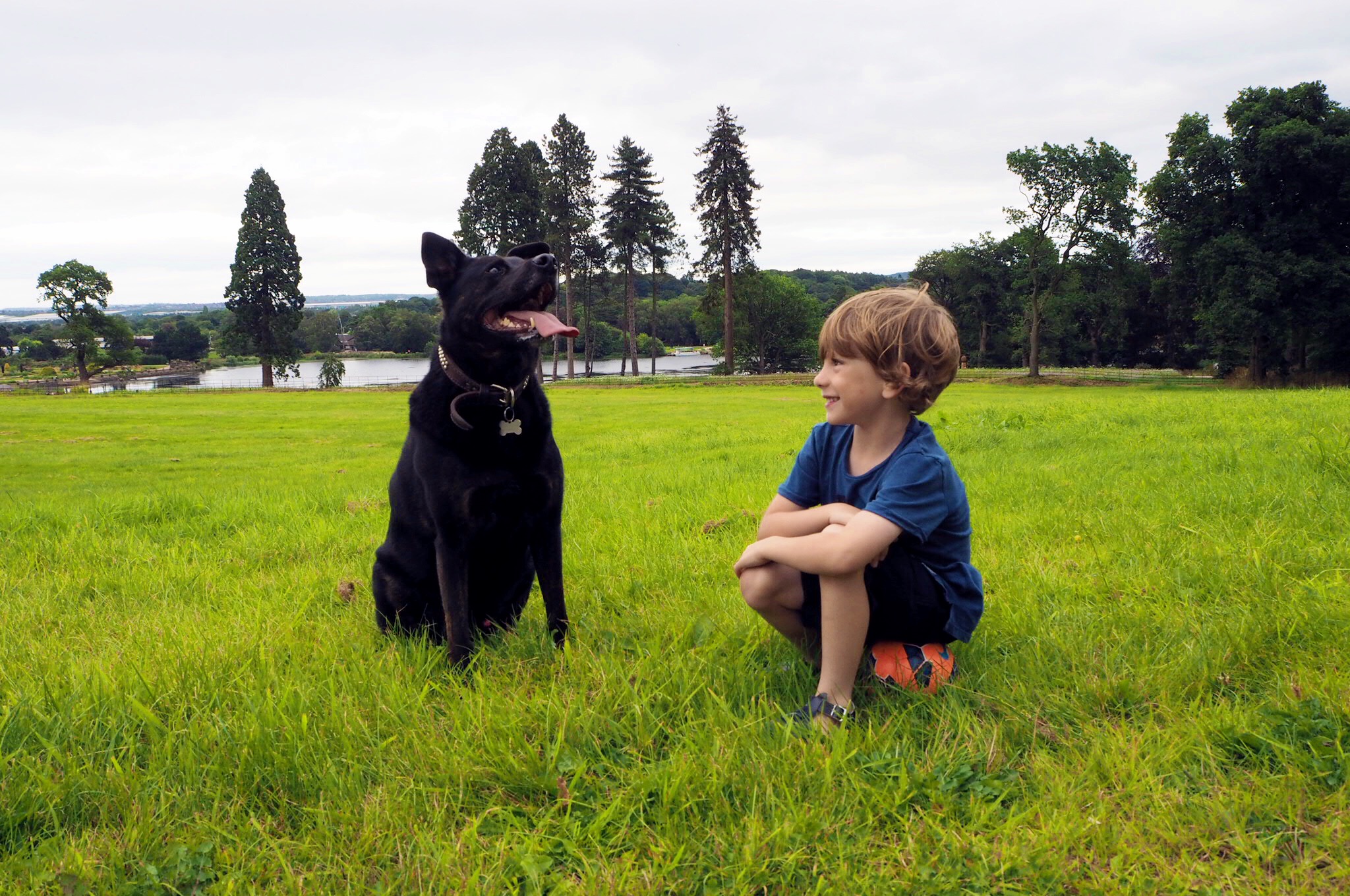 life as our little family, pledge to play more with your pet