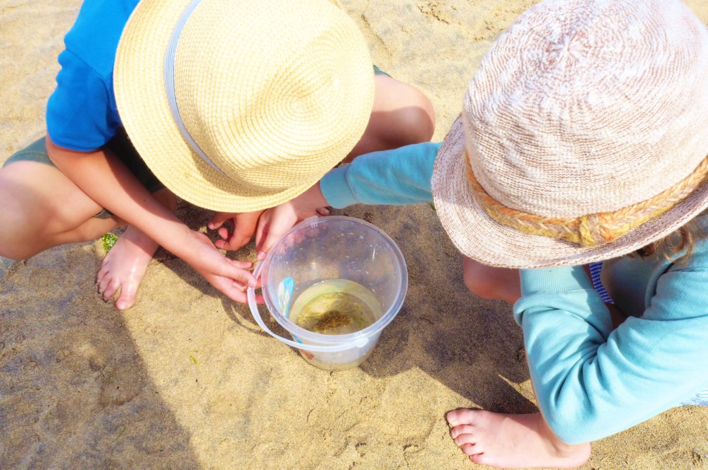 Cornwall Adventures - Crabbing in St Ives
