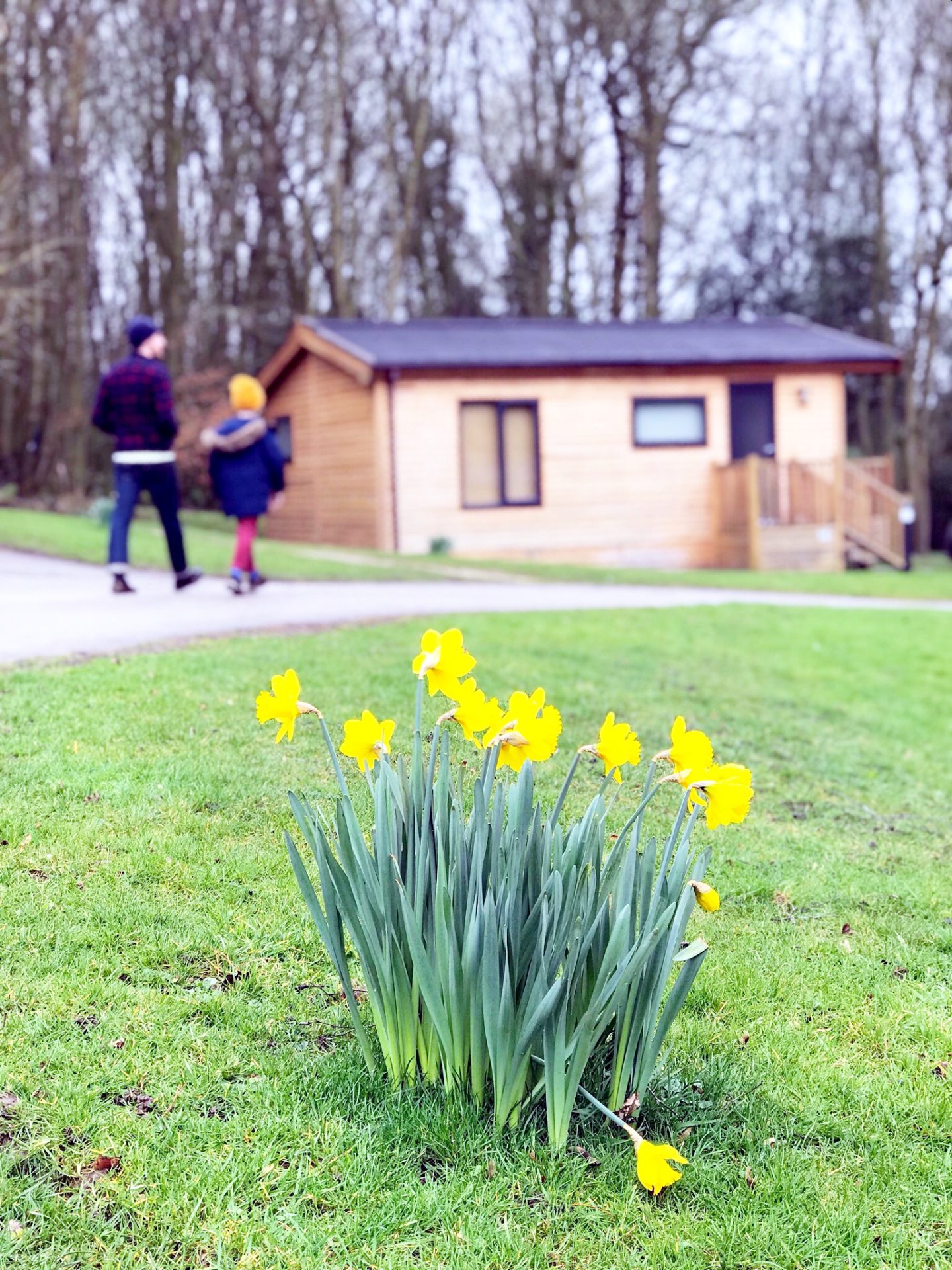 Luxury Lodges in the Peak District