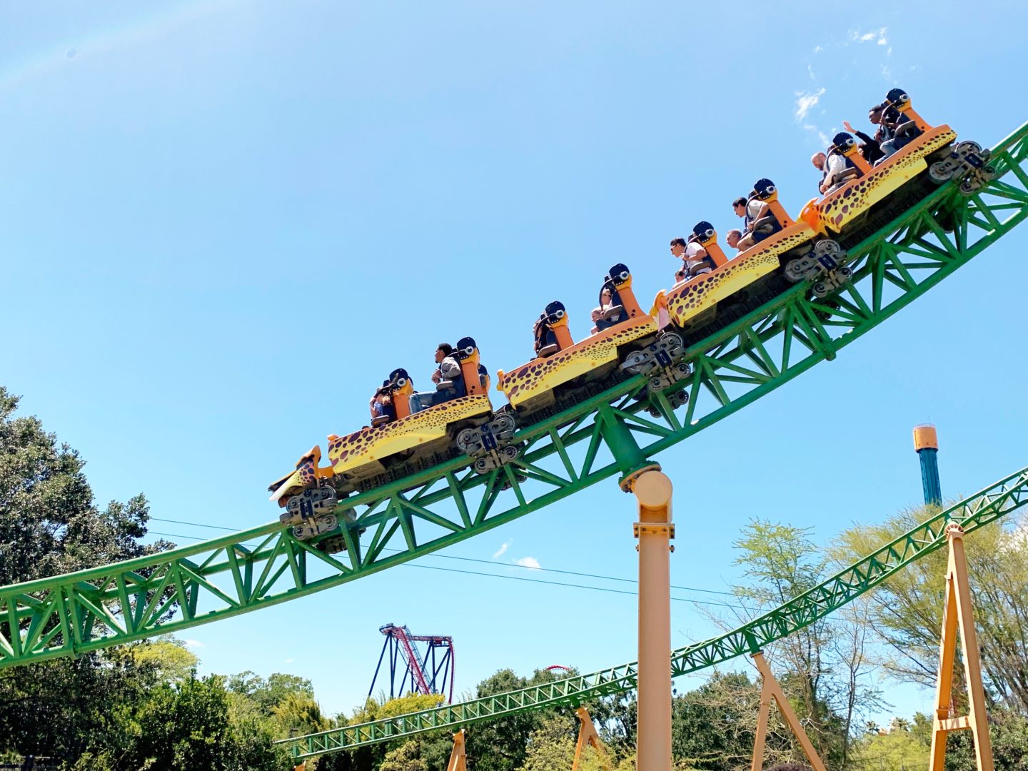 Top 10 rides from our trip to Florida in 2019