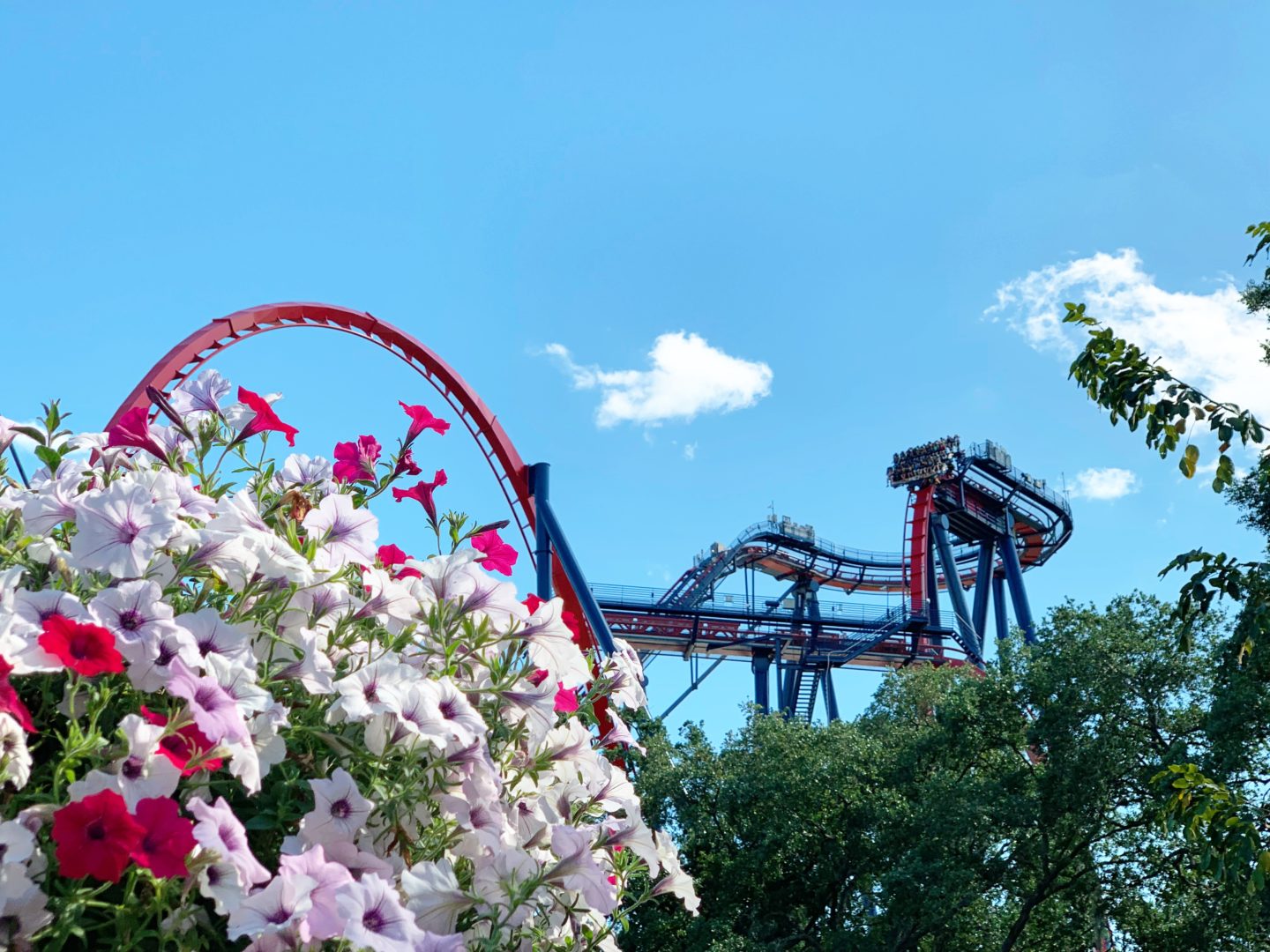 Top 10 rides from our trip to Florida in 2019