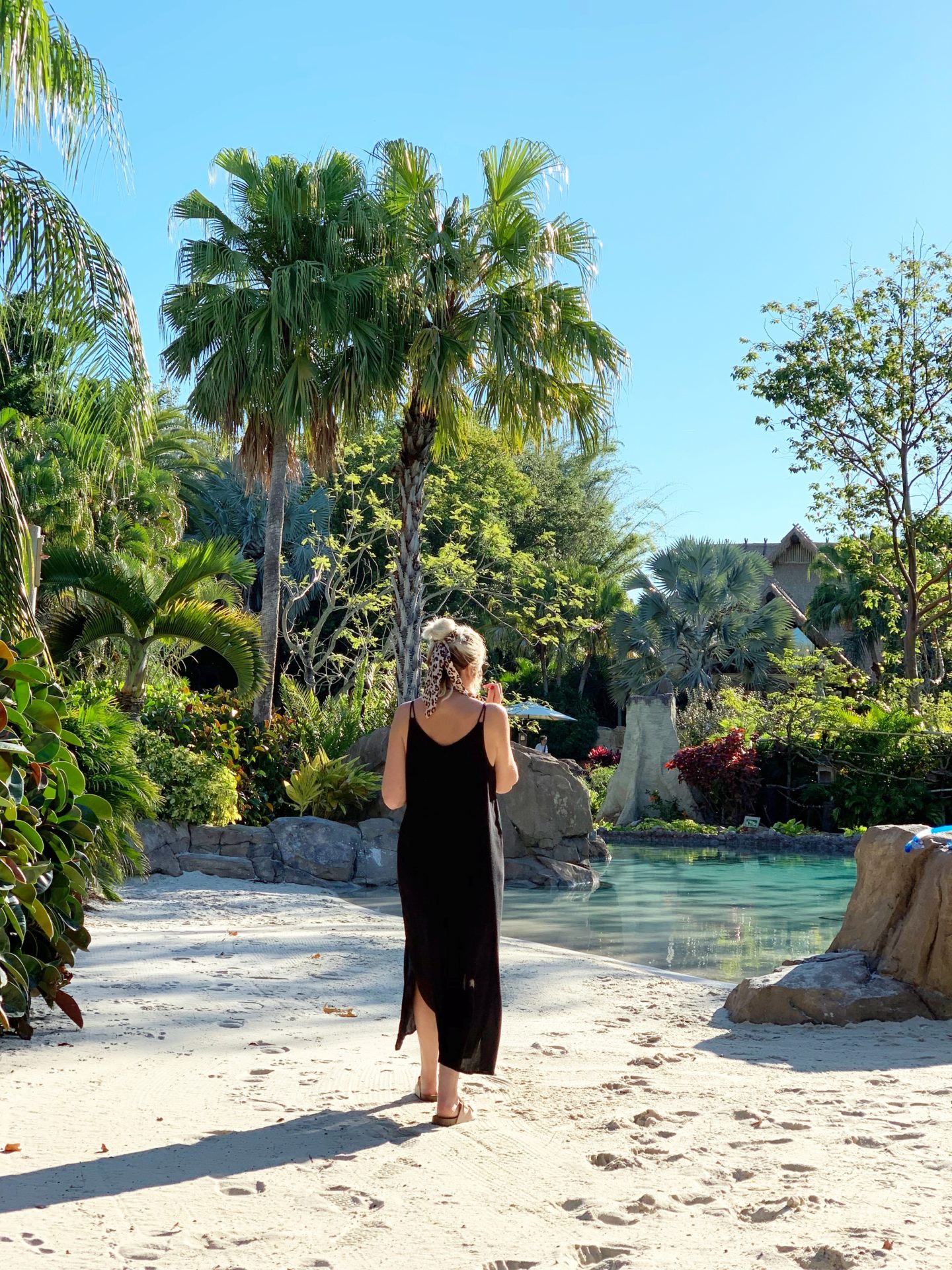 Discovery Cove - A day in paradise