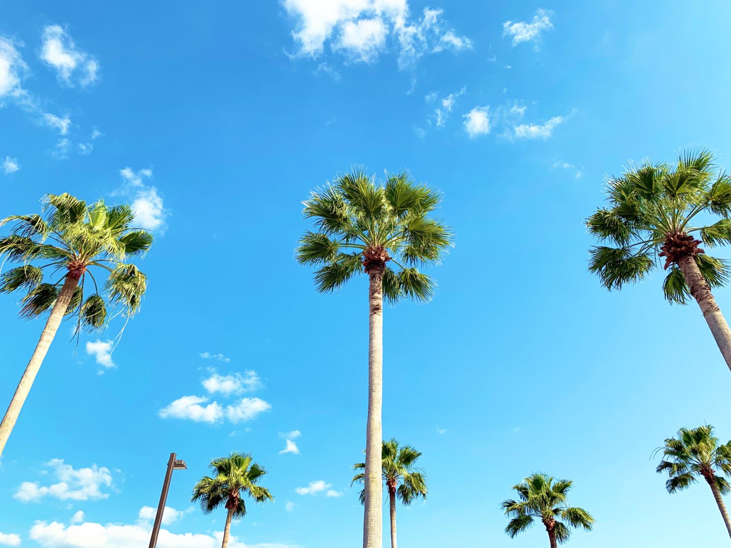 10 travel tips for a great trip to Florida as a family