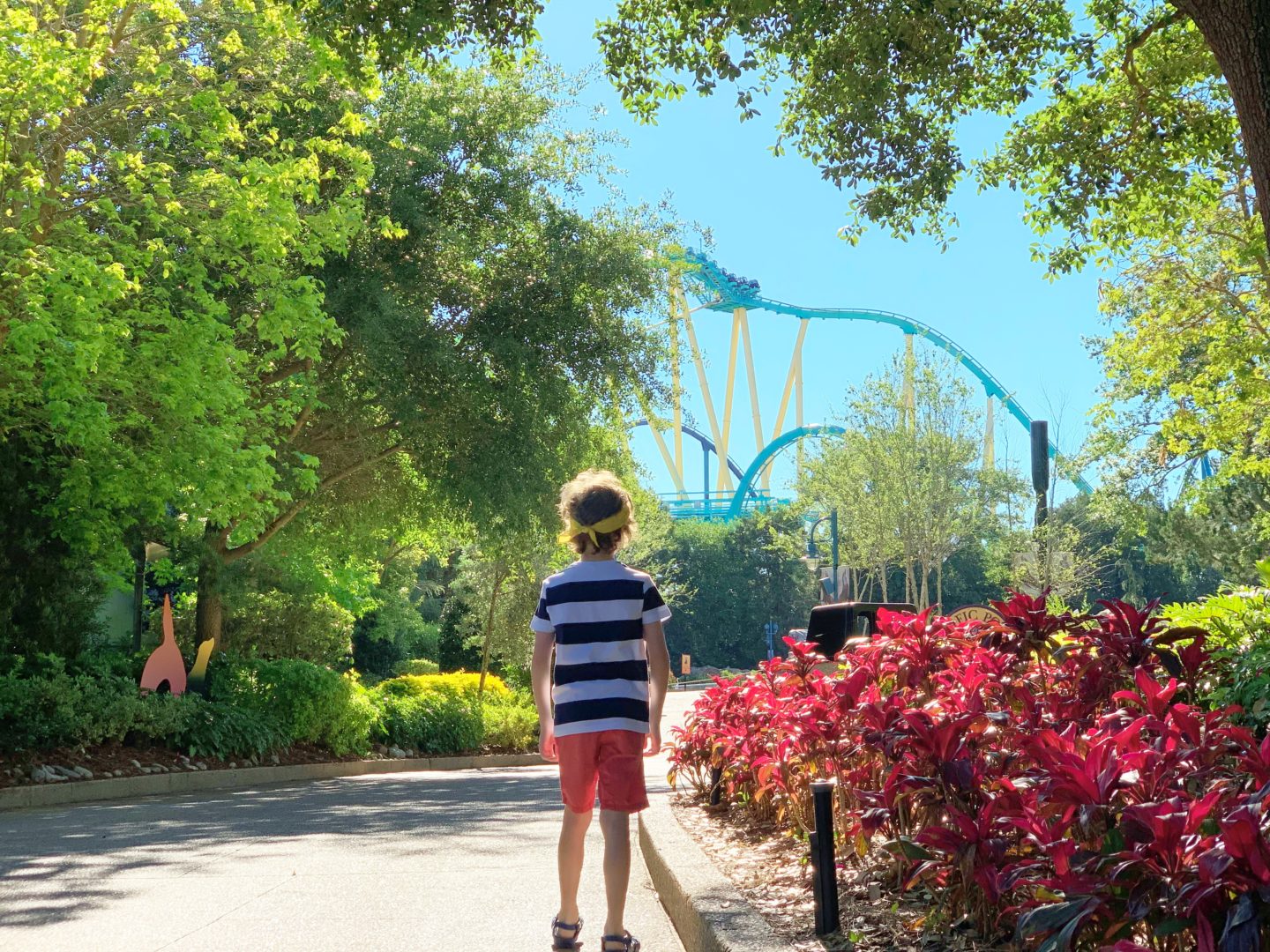 Top 10 rides from our trip to Florida in 2019