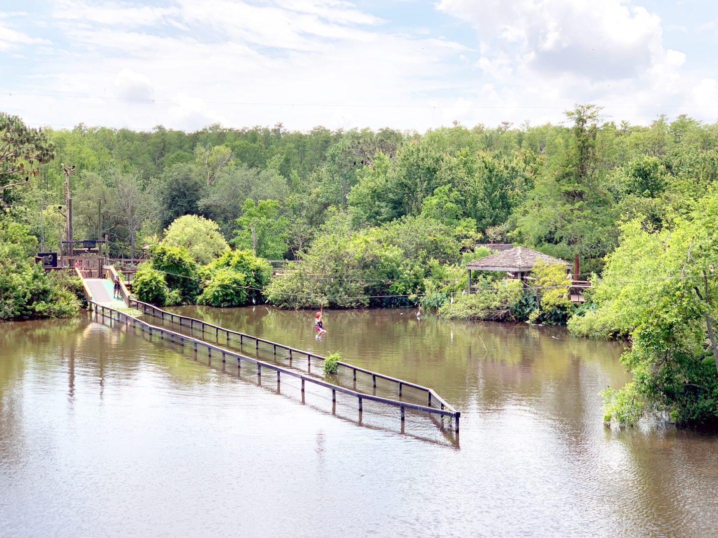 Five Reasons to visit Gatorland, Orlando