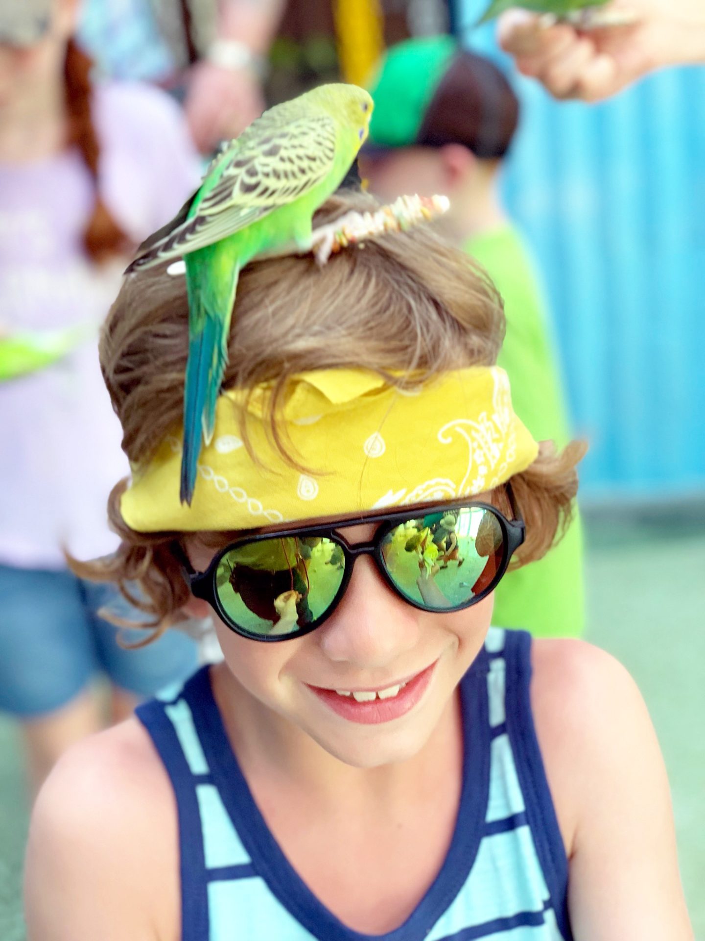 Five Reasons to visit Gatorland, Orlando