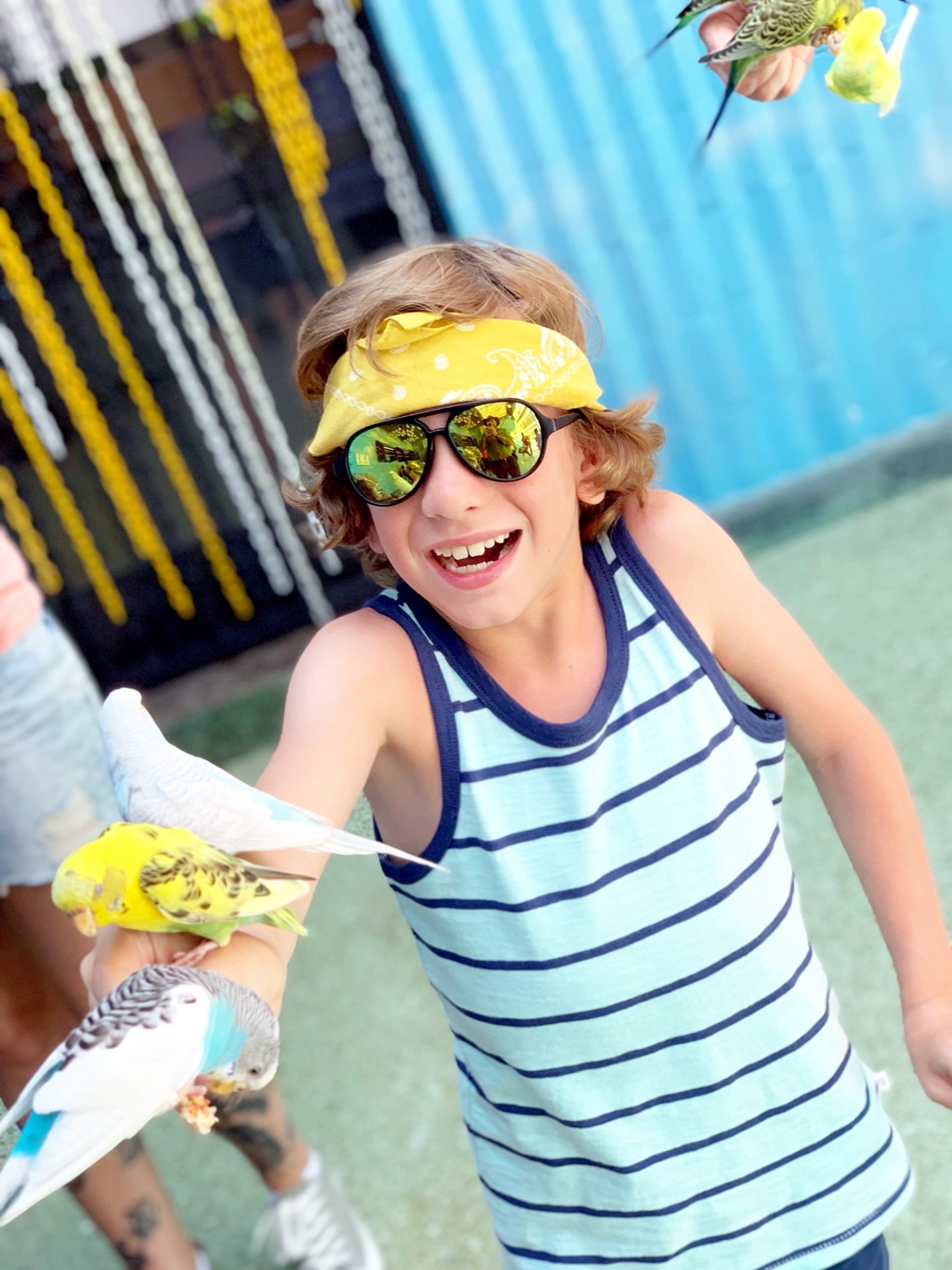 Five Reasons to visit Gatorland, Orlando
