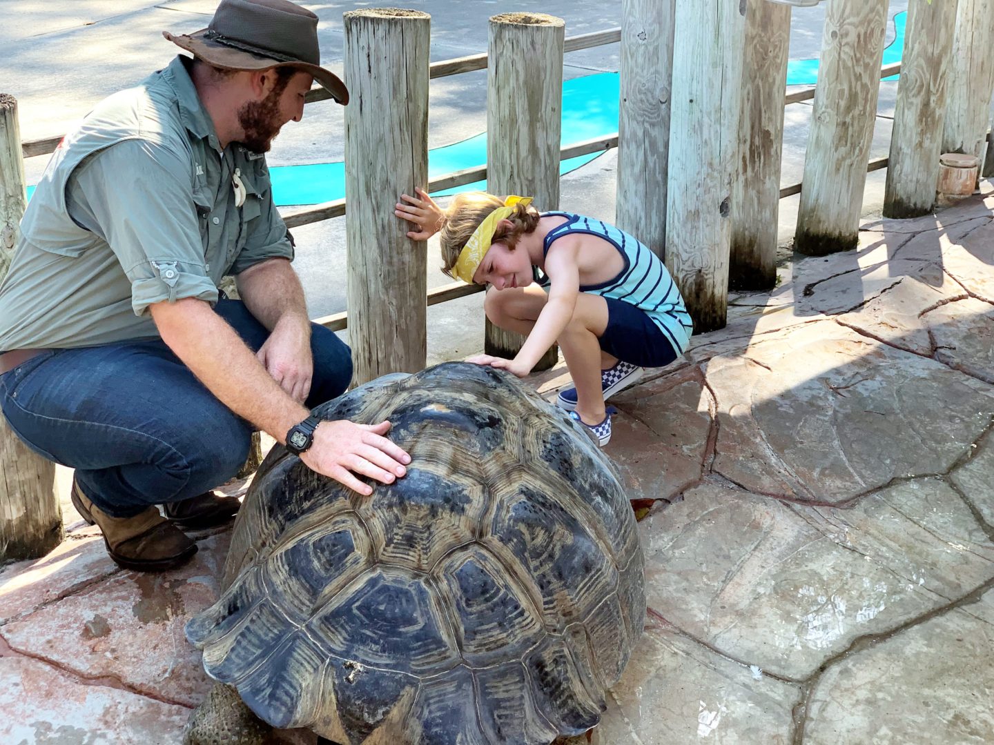 Five Reasons to visit Gatorland, Orlando