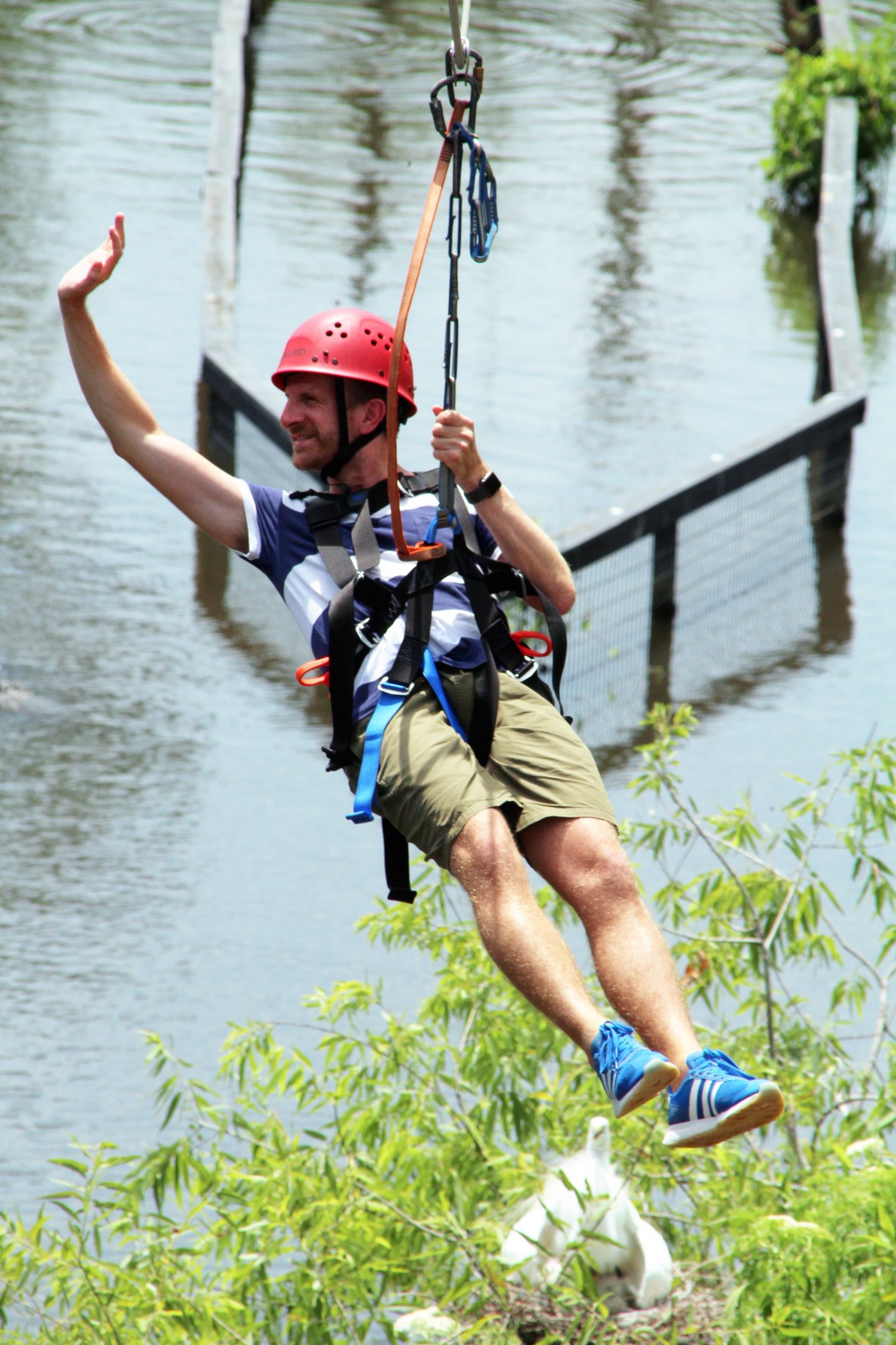 Five Reasons to visit Gatorland, Orlando