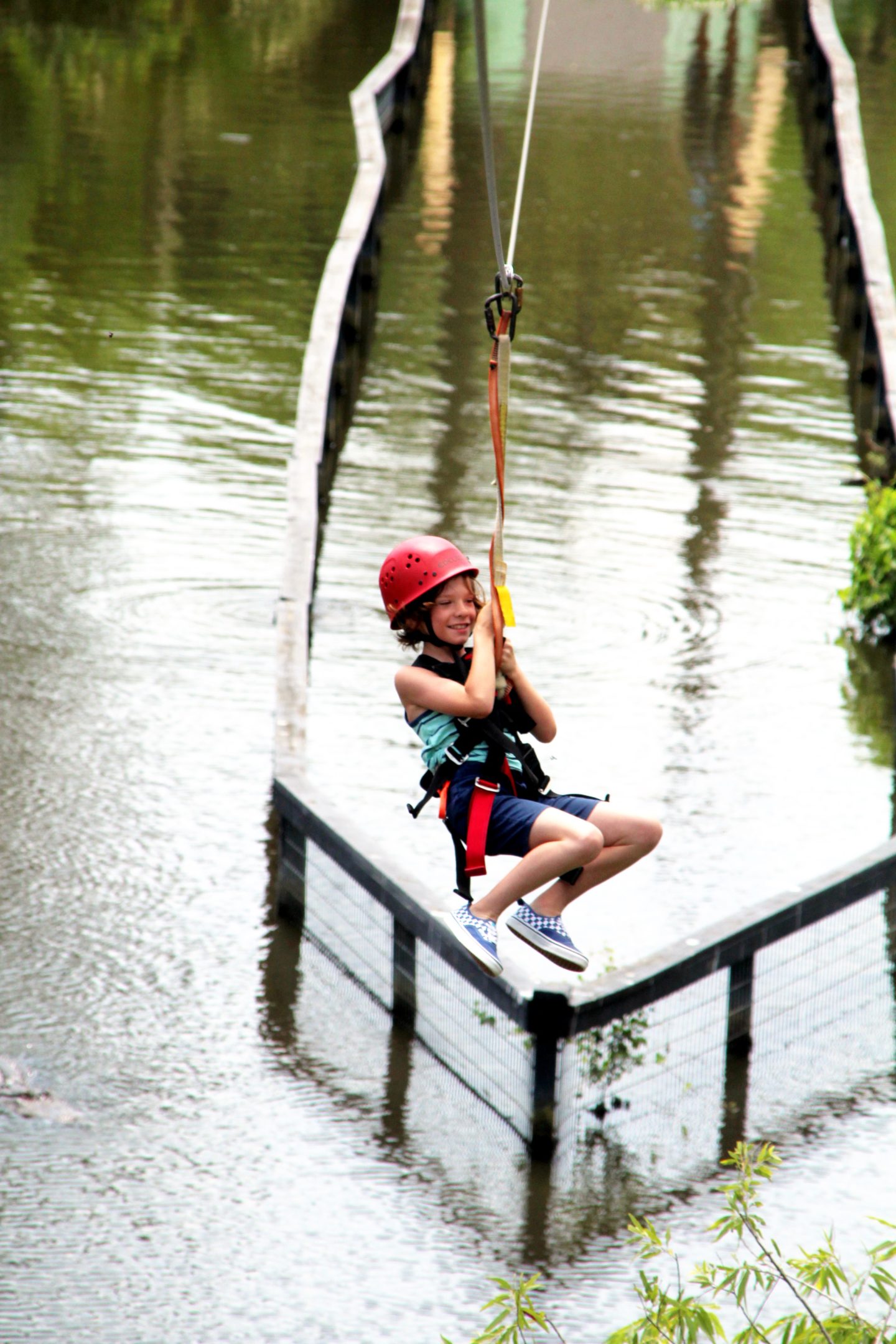 Five Reasons to visit Gatorland, Orlando