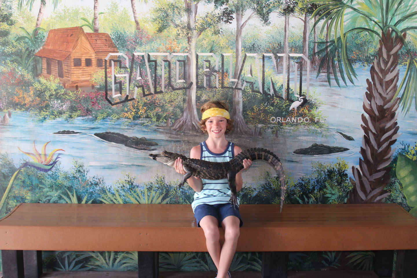Five Reasons to visit Gatorland, Orlando