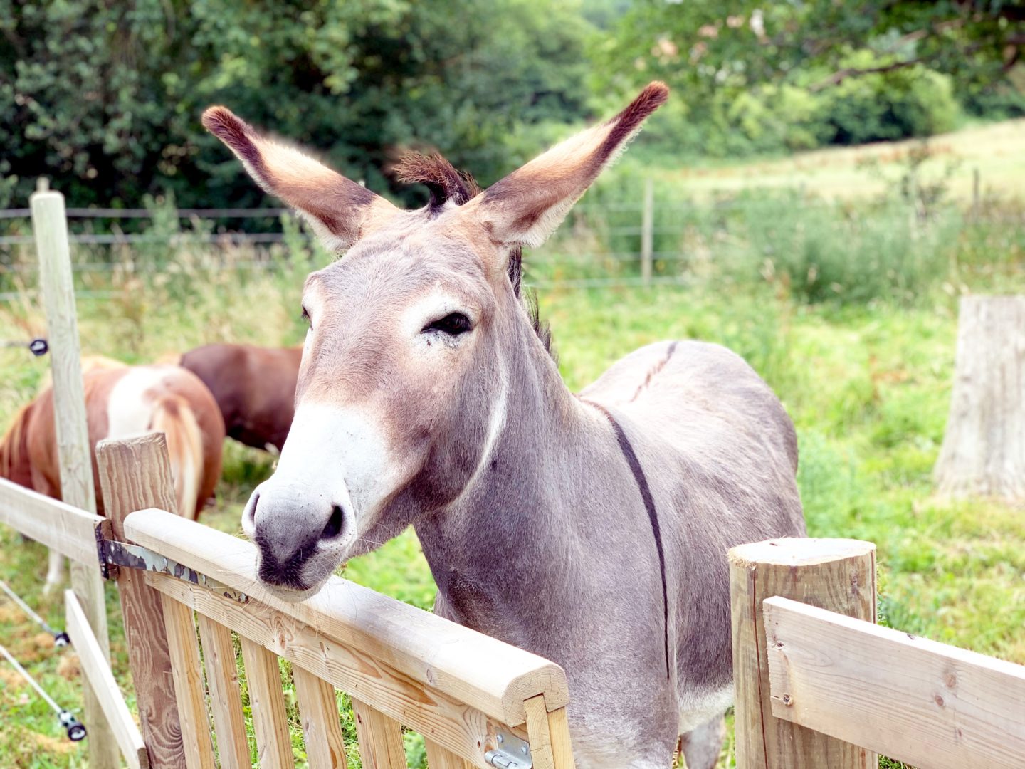 A week at Eurocamp La Vallee Normandy - Review