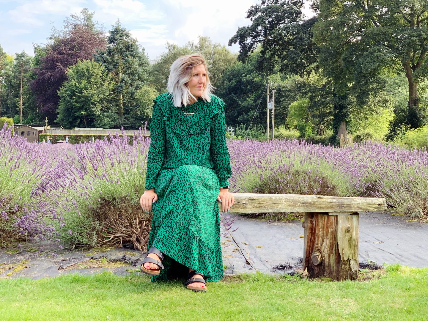 Wardrobe Edit : The Green Dress