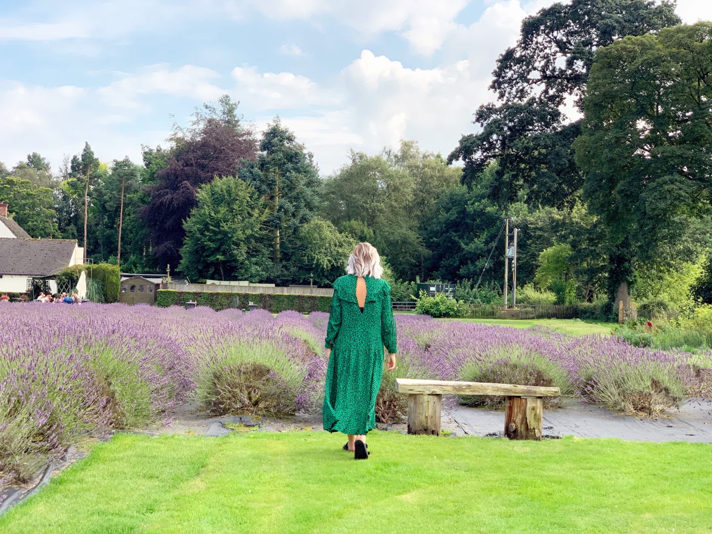 Wardrobe Edit : The Green Dress