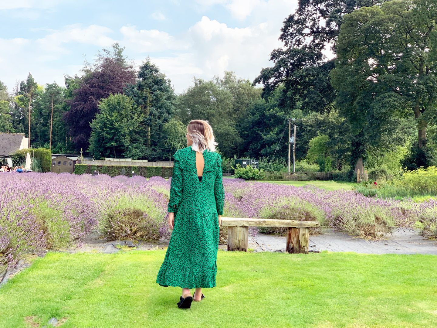 Wardrobe Edit : The Green Dress