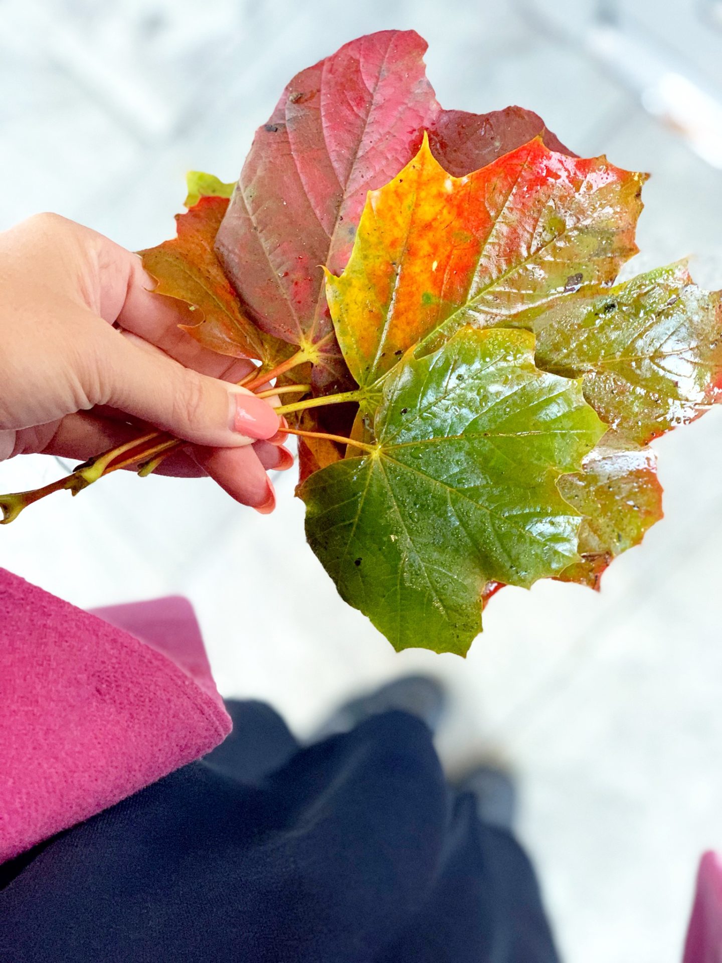 Oh Hello Autumn