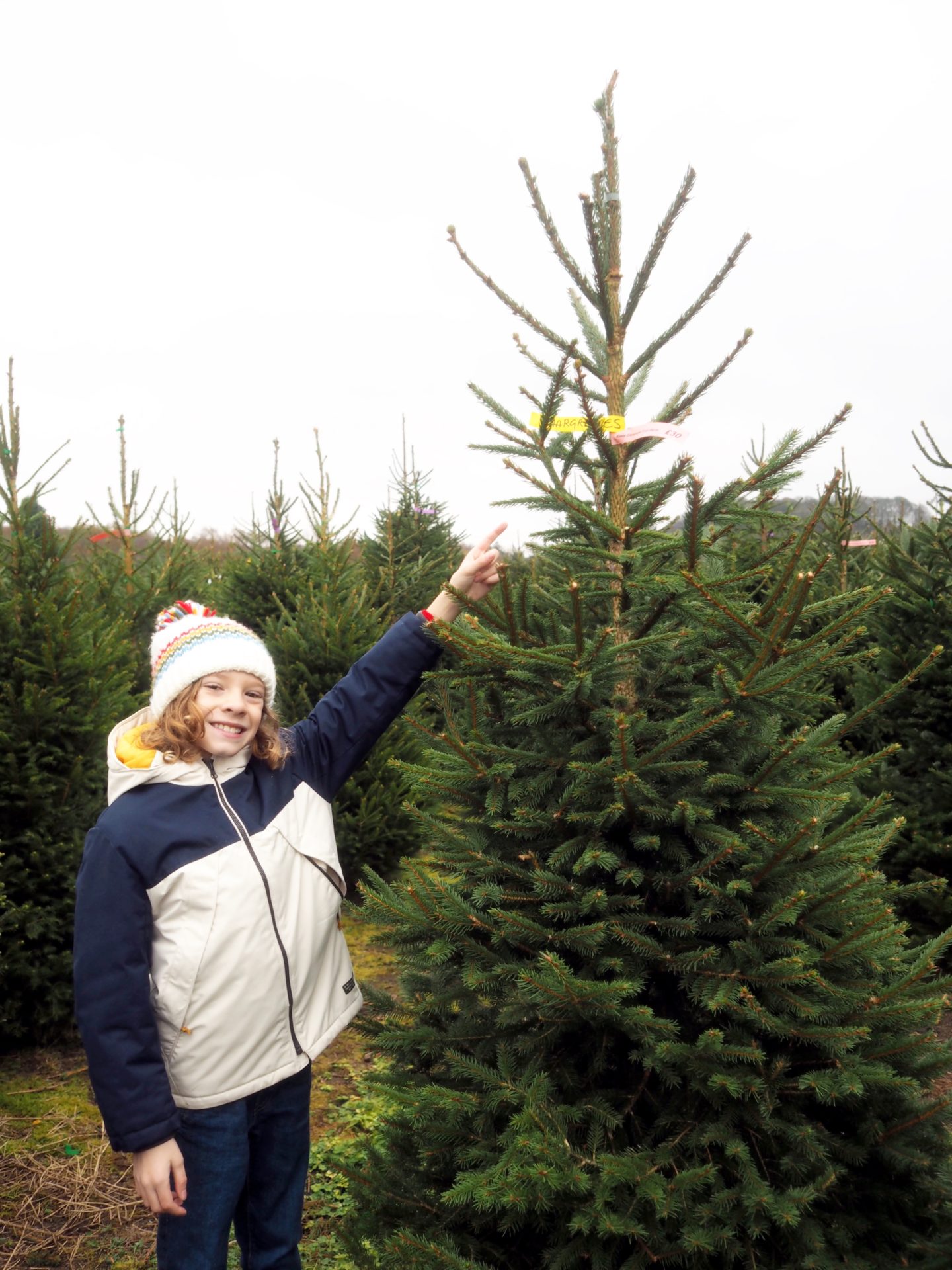 Me and Mine in November