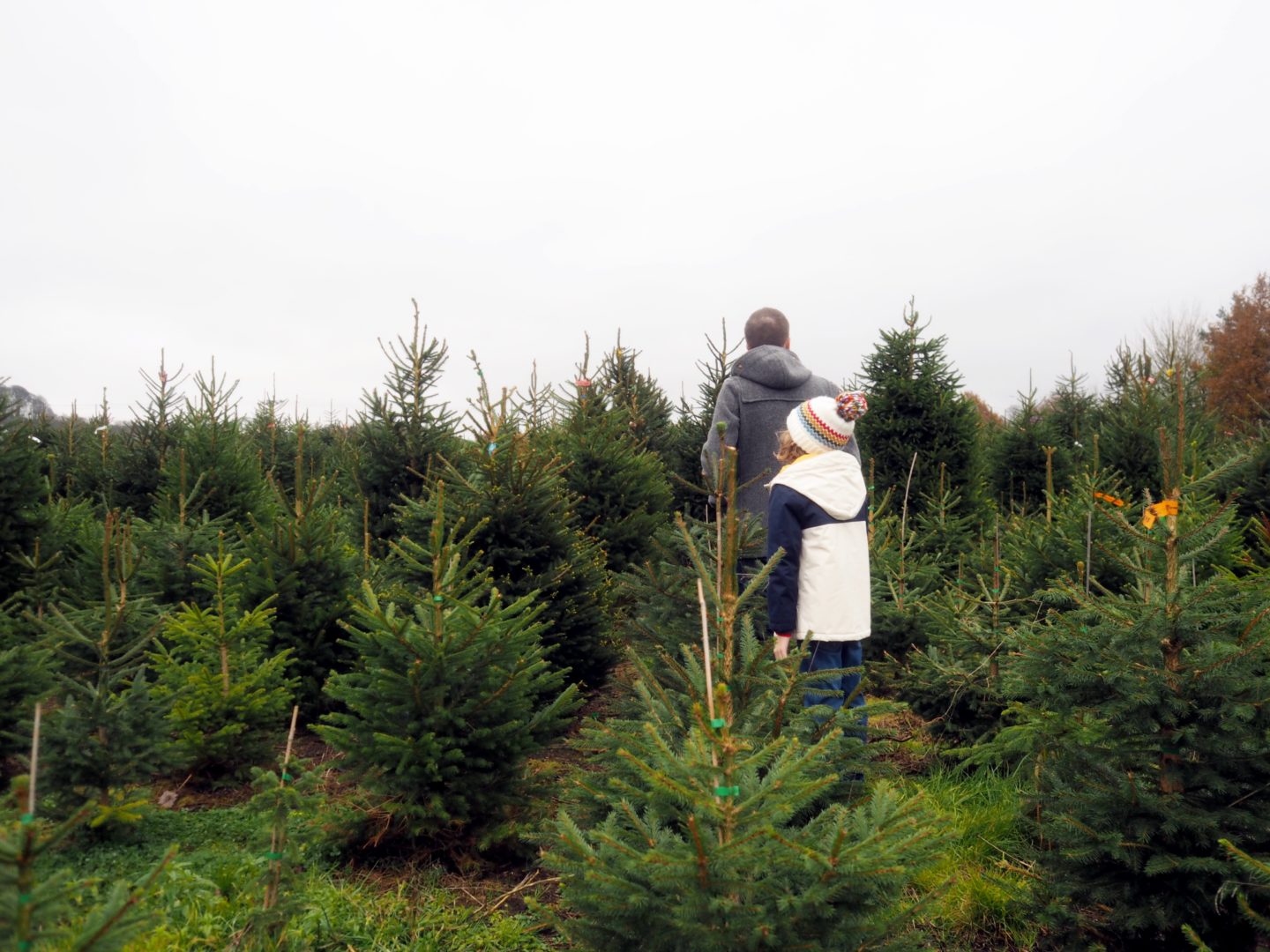 Me and Mine in November