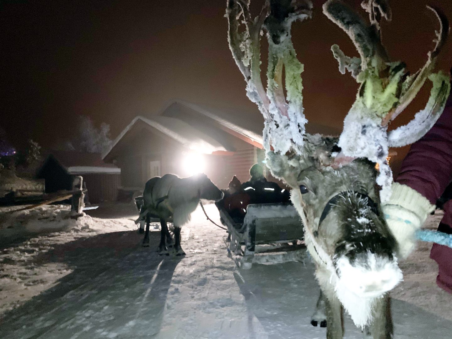 A Winter Wonderland Day Trip to Lapland 2019