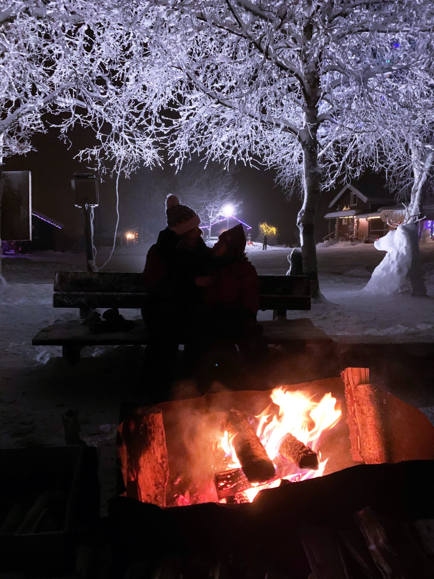A Winter Wonderland Day Trip to Lapland 2019