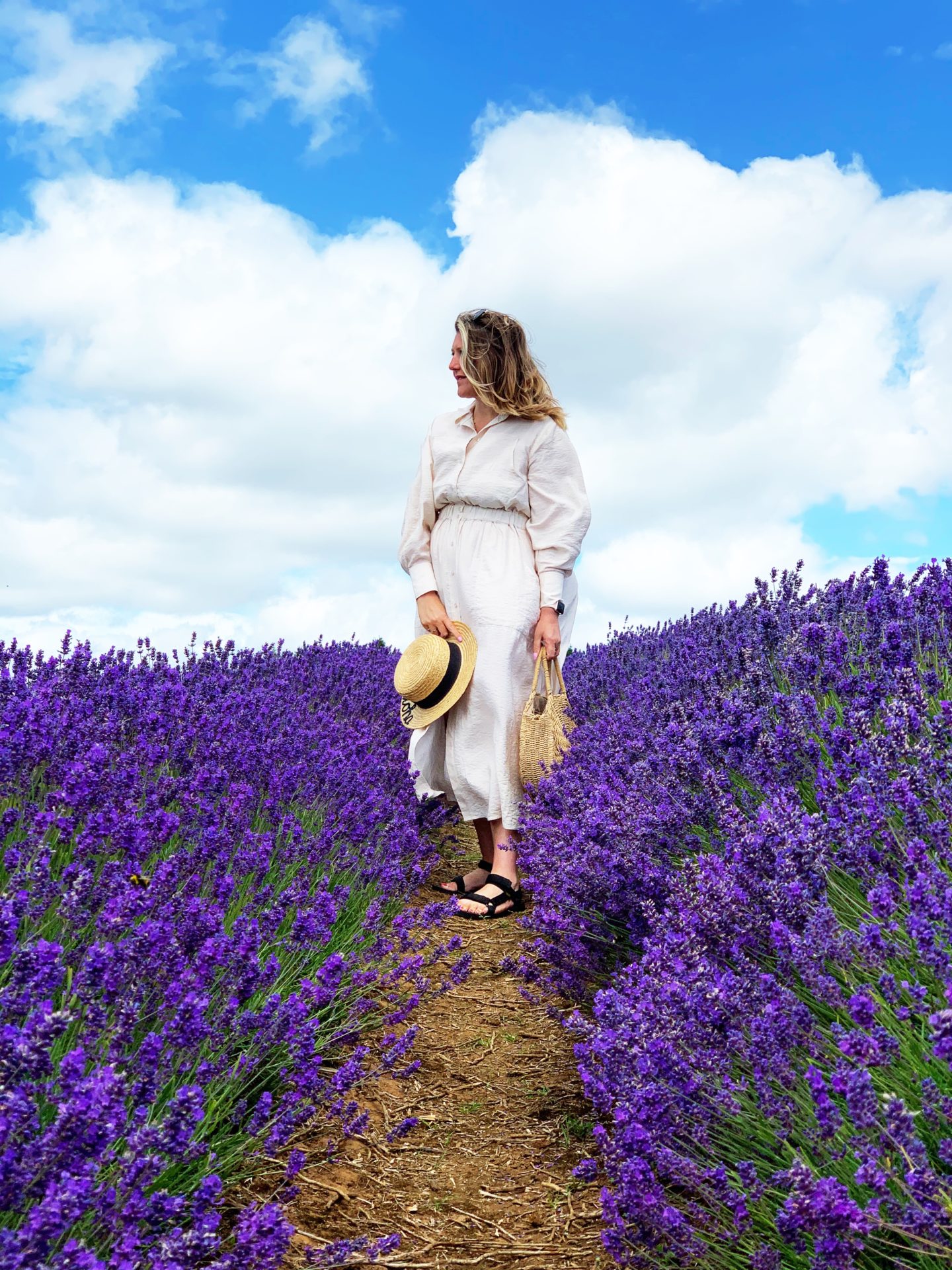Visiting the Cotswolds Lavender Fields