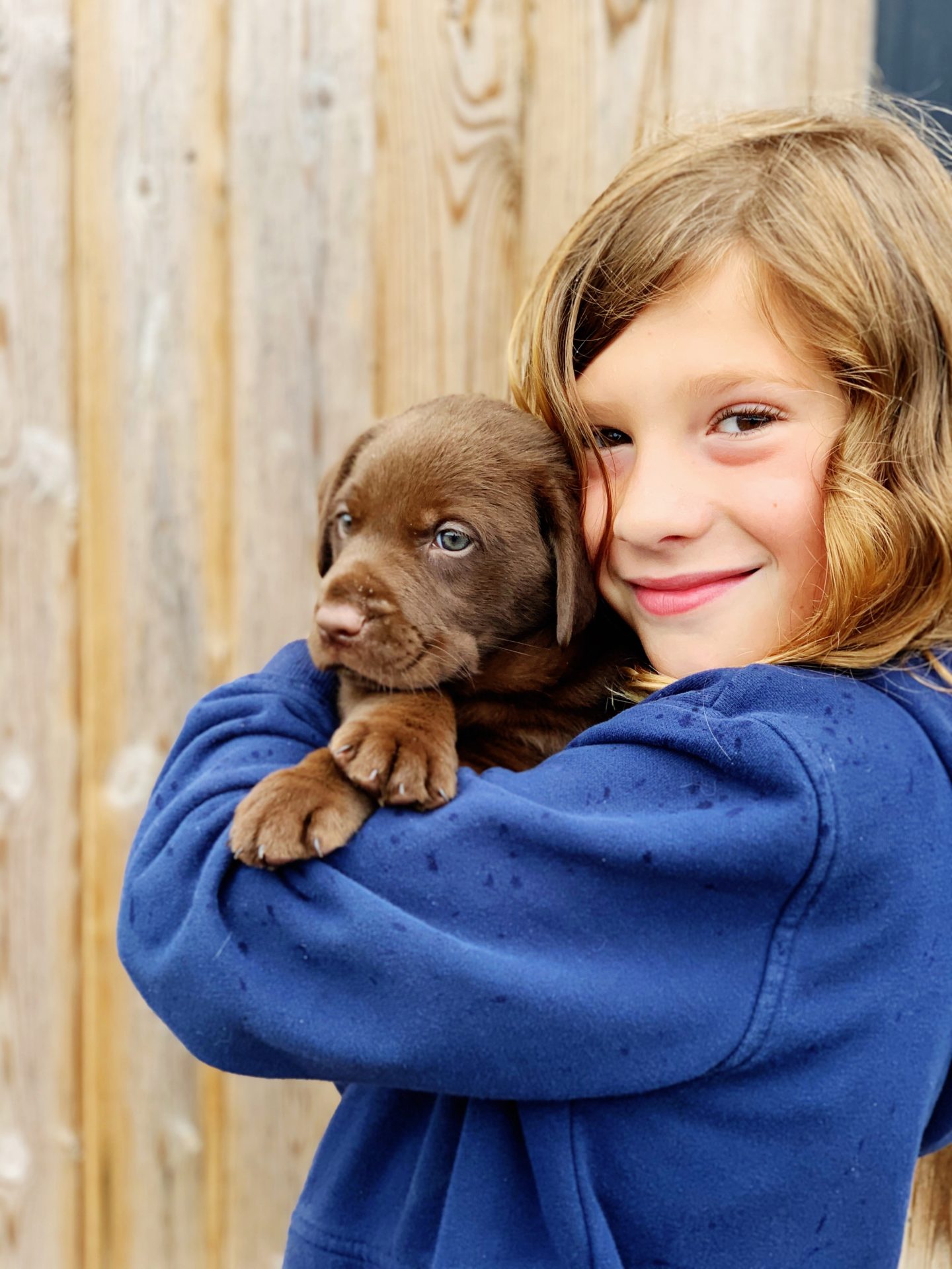 Preparing for a puppy