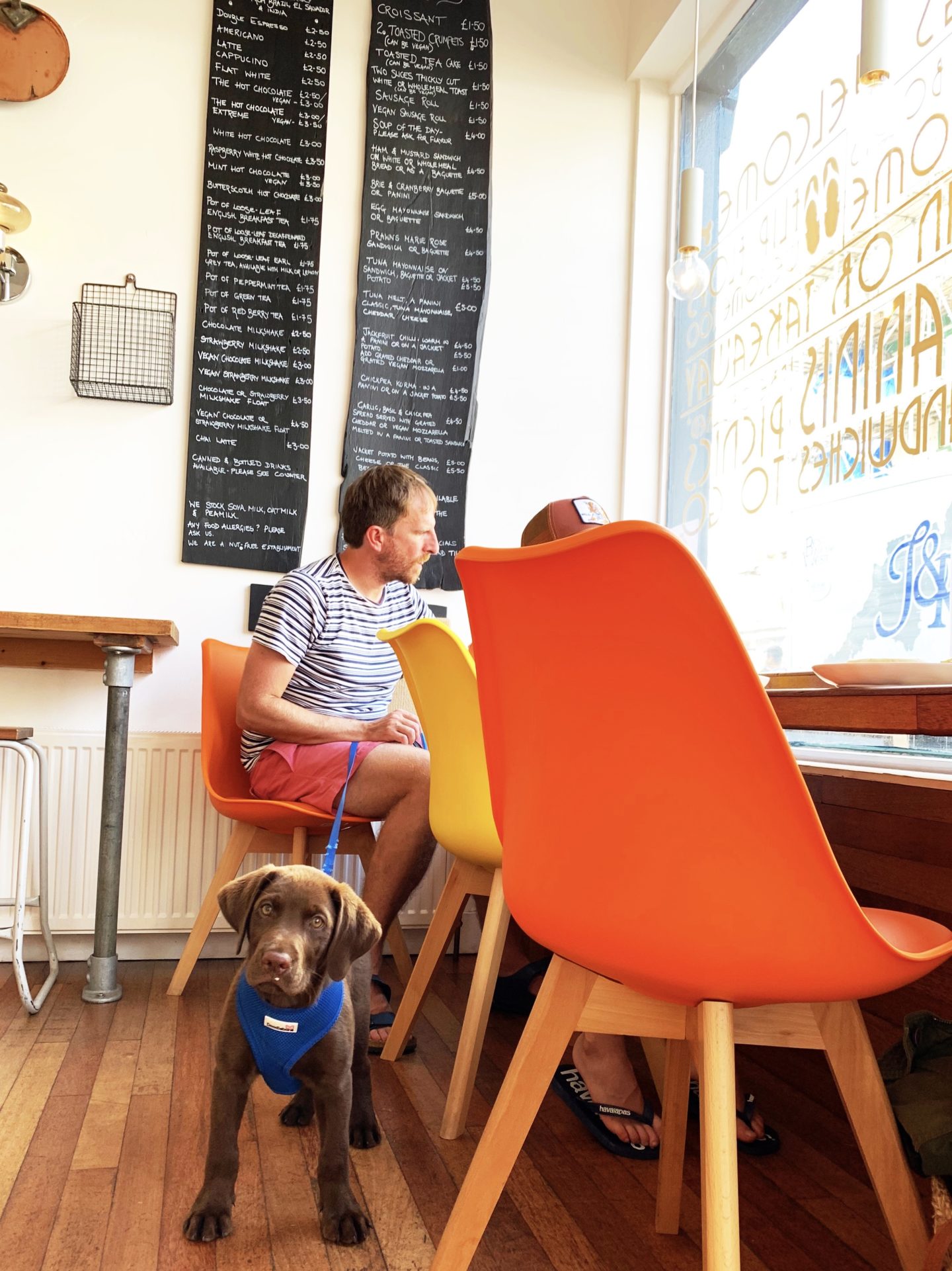 15 dog friendly places to eat and drink in North Devon - The KA Edit