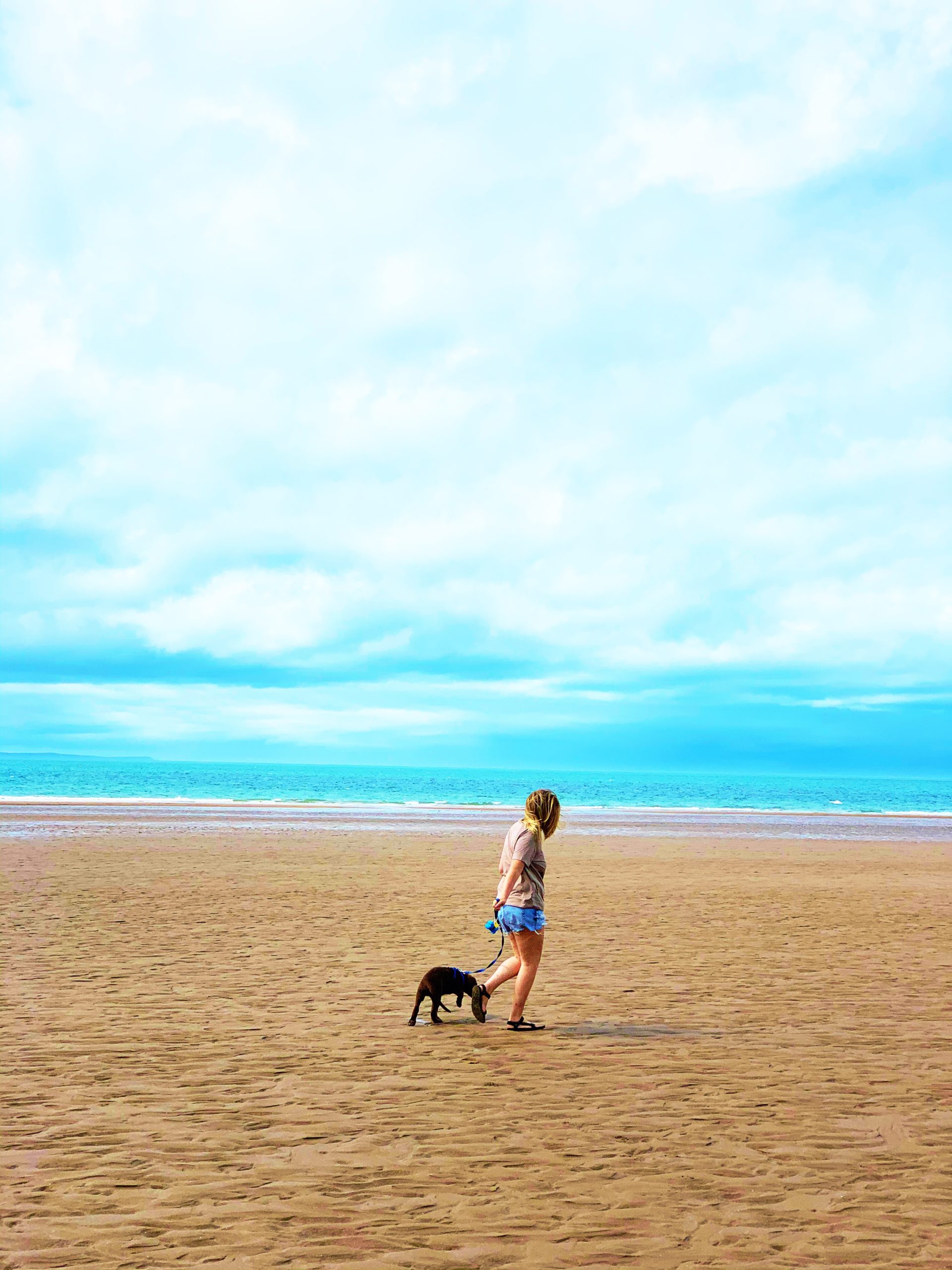 15 dog friendly places to eat and drink in North Devon The KA Edit