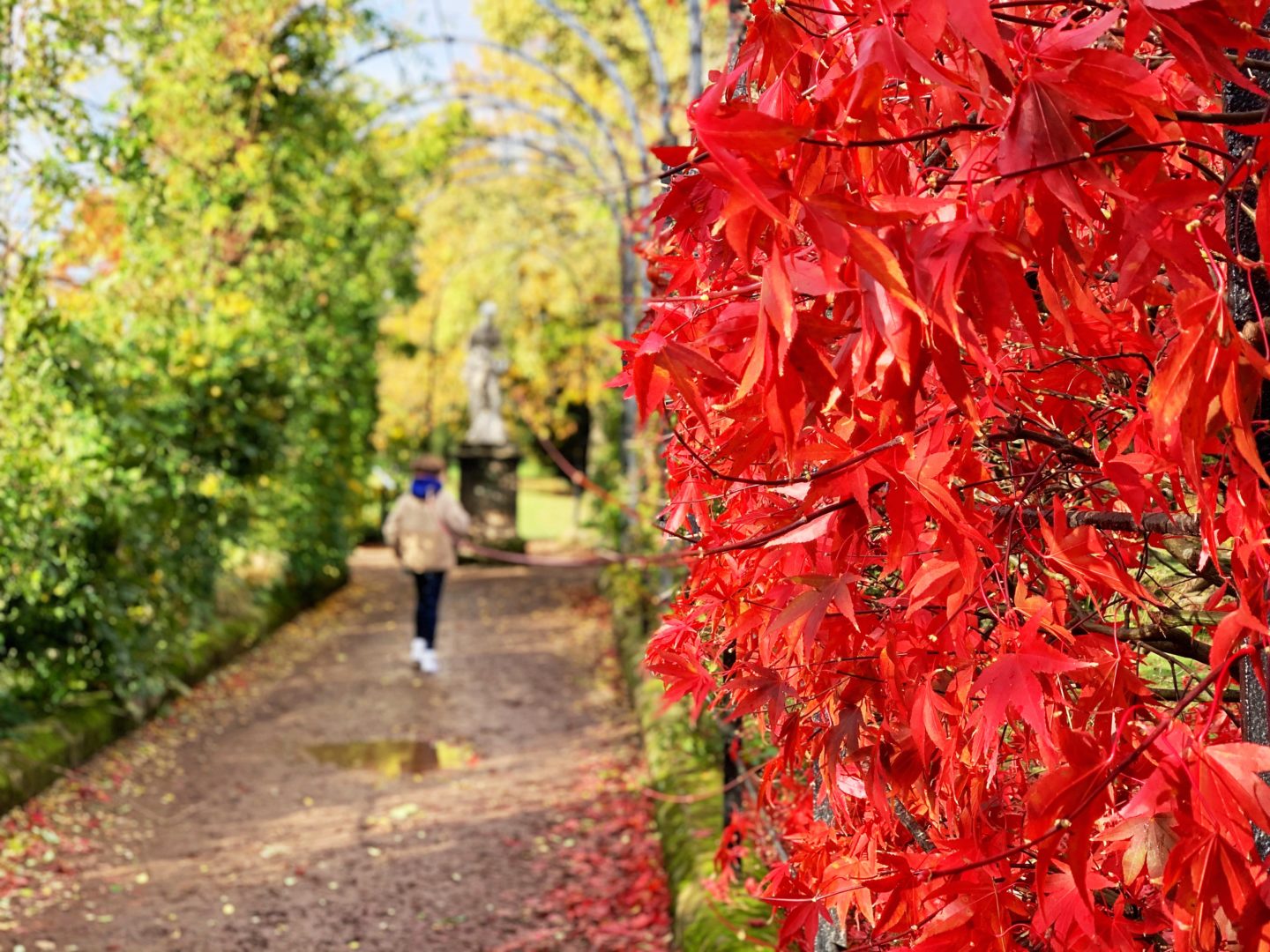 A day of magical mischief at Trentham Gardens