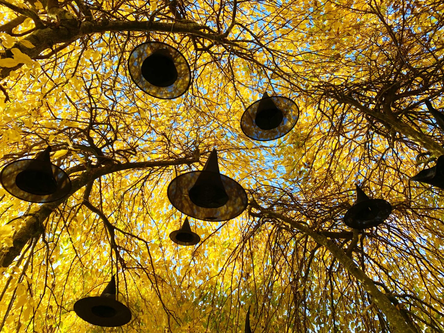 A day of magical mischief at Trentham Gardens