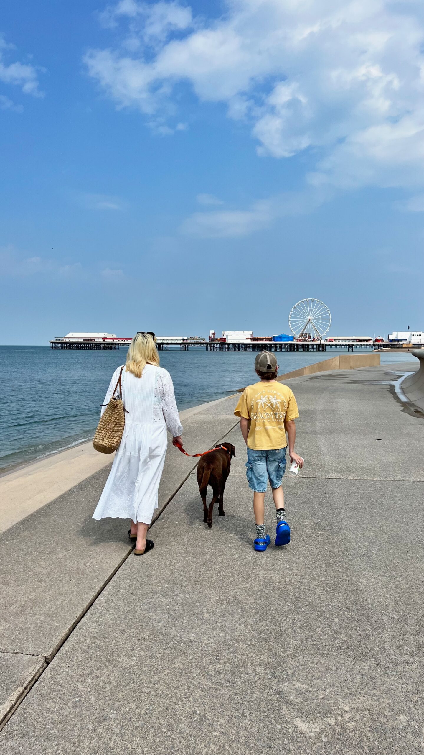 PAJ GPS Dog Tracker {Review} The KA Edit